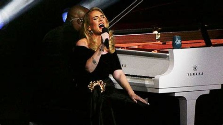 Adele Laughs Off A Fan Trying To Give Her His Number At Las Vegas Show: Watch