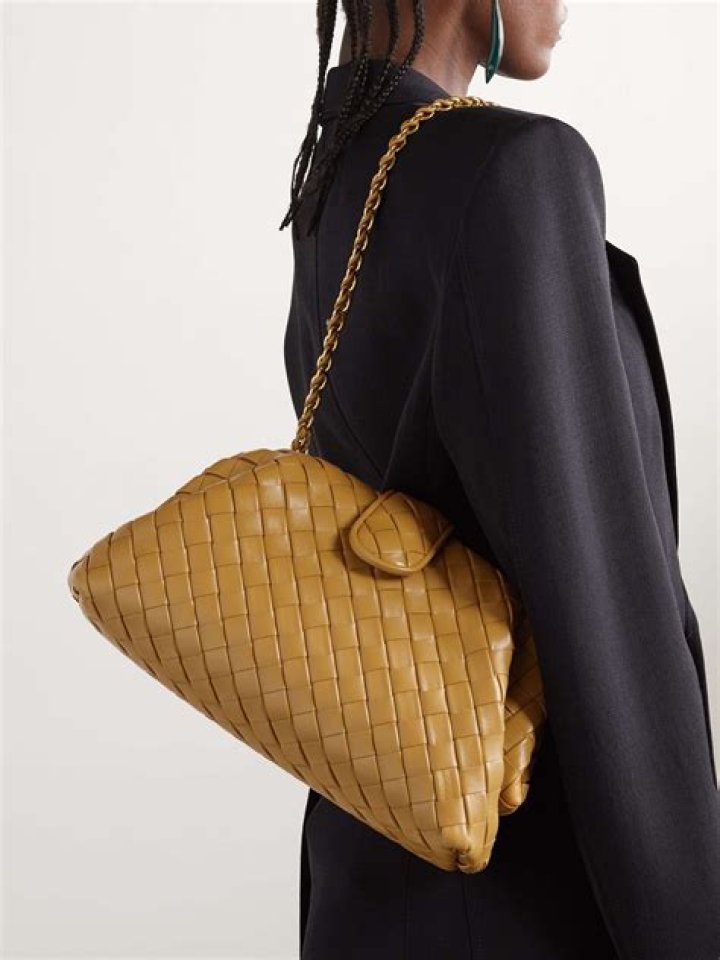 Bottega Veneta The Pouch Alternative – Shop – Hollywood Life