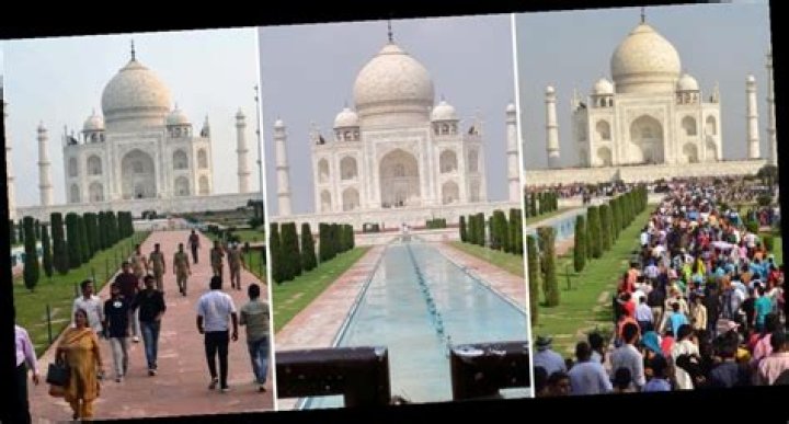 Carole Baskin ‘Murders’ Interview & Leaves Ken Jeong, Joel McHale Squirming During NYE Special — Watch