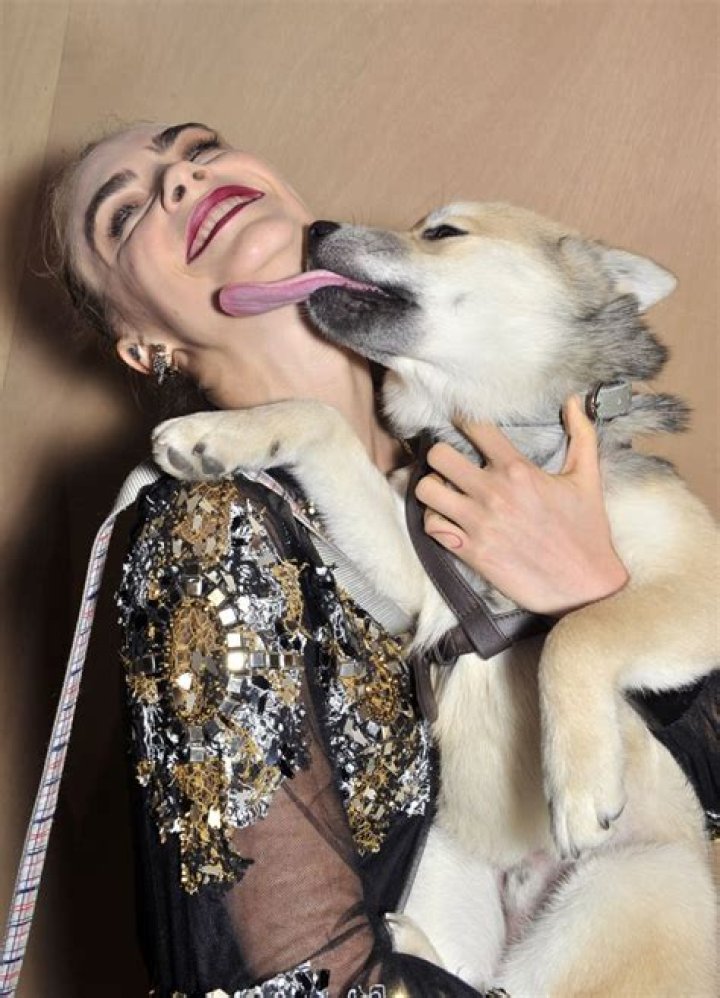Celebs Playing With Puppies: PICS
