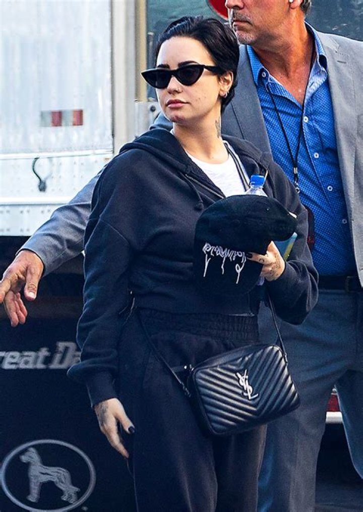 Demi Lovato Wears Tiny Crop Top For Makeup-Free Mirror Selfie: Photo – Hollywood Life