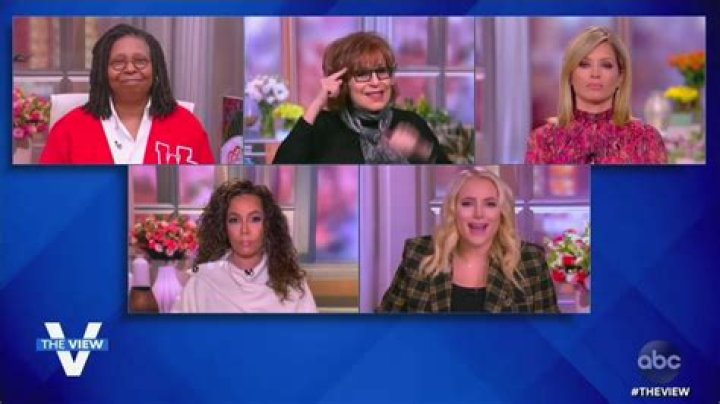 Fans Think Joy Behar Shaded Meghan McCain: ‘The Panel Is Perfect Now’