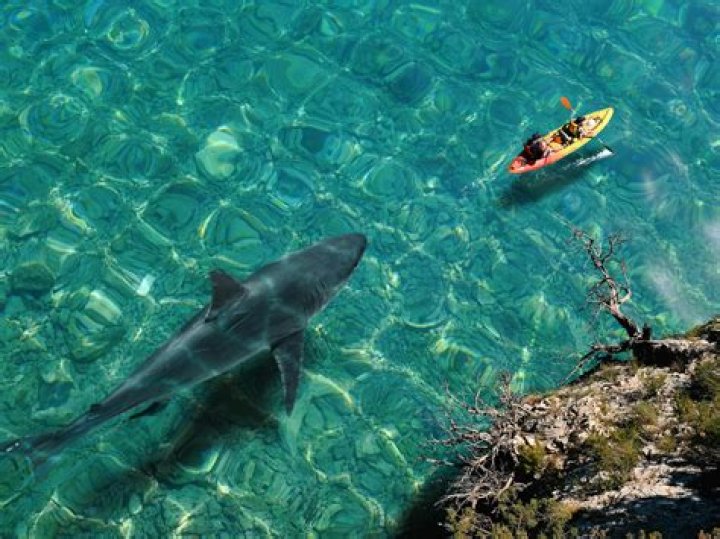 Has He Seen Her Again? – Hollywood Life