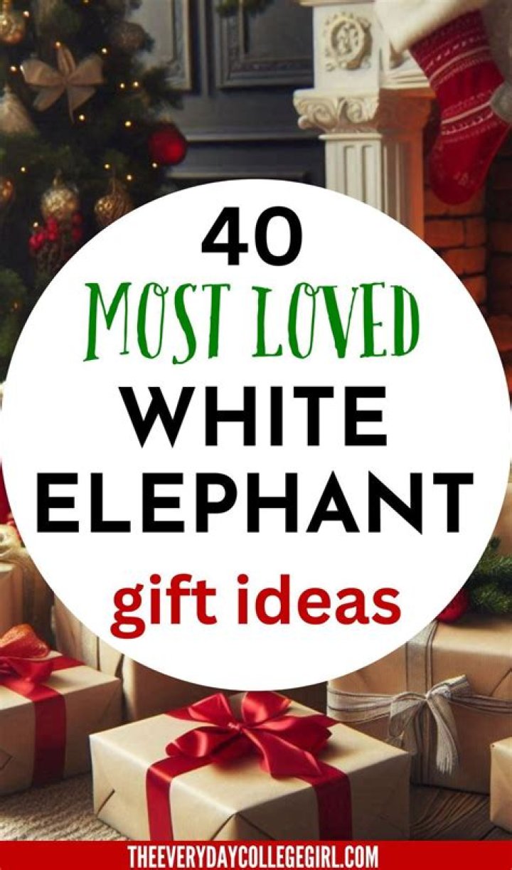 Hottest White Elephant Gifts of 2024 – Hollywood Life Reviews – Hollywood Life