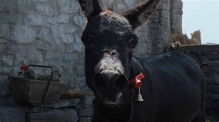 Jenny The Donkey From ‘Banshees’ Surprise Colin Farrell At 2023 Oscars – Hollywood Life