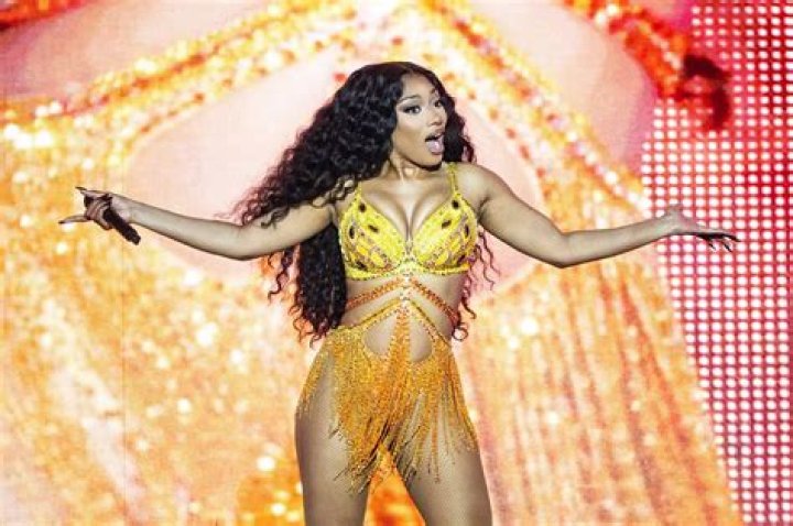 Megan Thee Stallion Poses In Yellow Lingerie For Savage X Fenty: Pic – Hollywood Life
