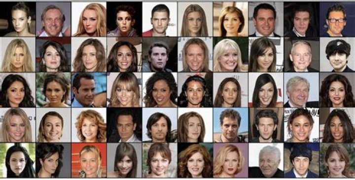 Pink, Kristen Bell, & More – Hollywood Life