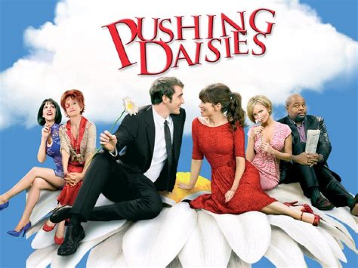‘Pushing Daisies’ — Photos